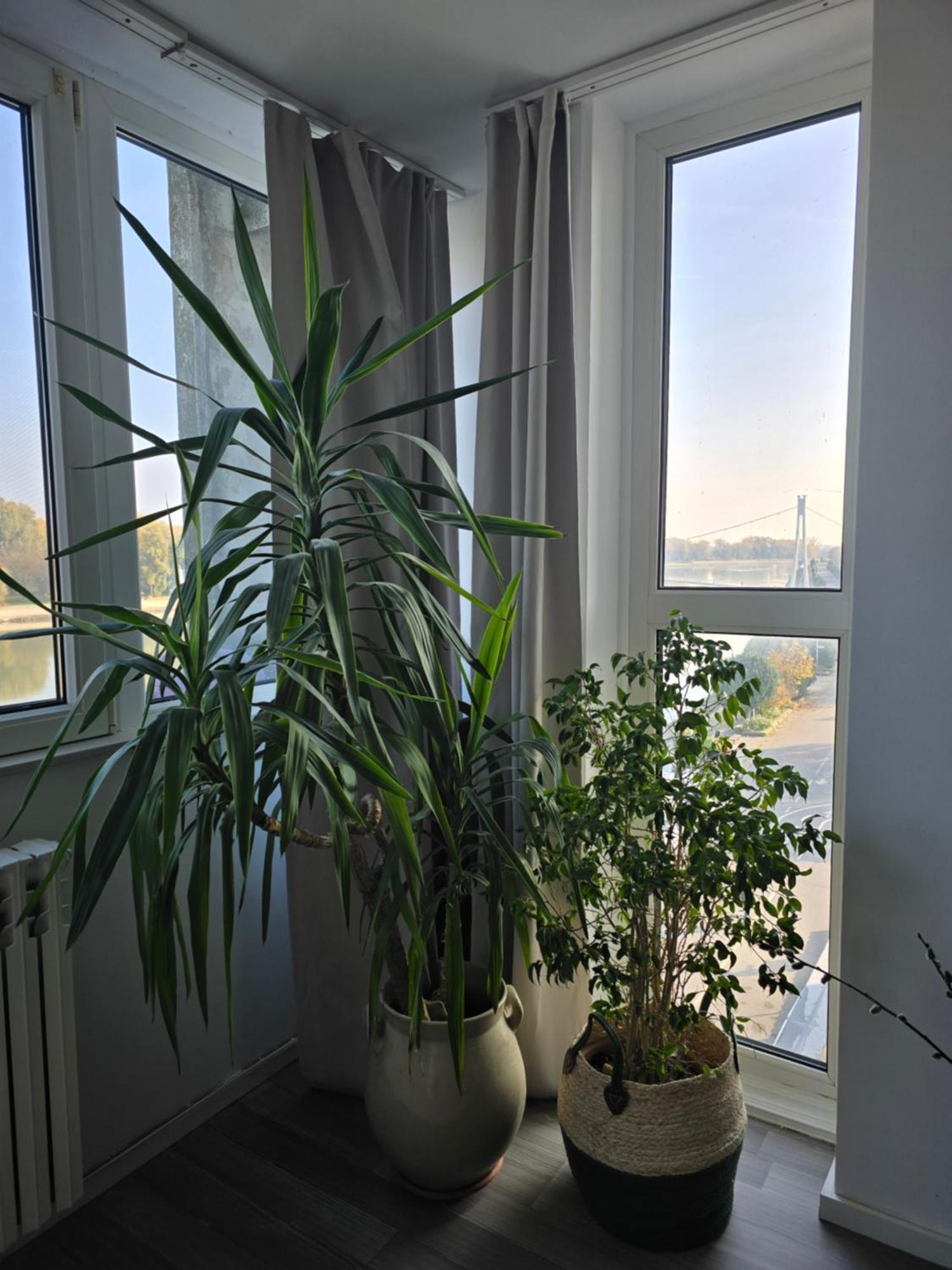Riverview Apartment โอซีเยก ภายนอก รูปภาพ